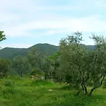 Appartamento Ein-zimmer-wohnung 'ligoracce By Interhome Castellina Marittima
