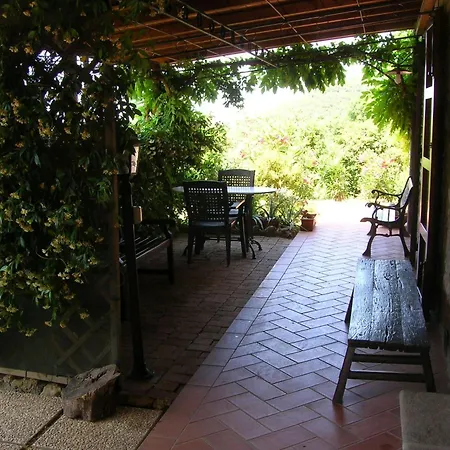 Appartamento Ein-zimmer-wohnung 'ligoracce By Interhome Castellina Marittima