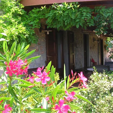 Ein-zimmer-wohnung 'ligoracce By Interhome Appartamento Castellina Marittima